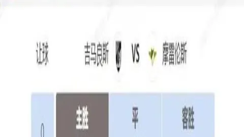 大乐透期号专家质合分析：前区十码推荐，弗拉门戈与拉努斯超级杯